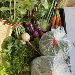 Pixca farm - Csa bag
