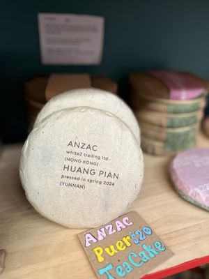 THE mushroom shop by null