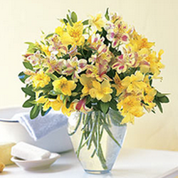 K&M Flowers