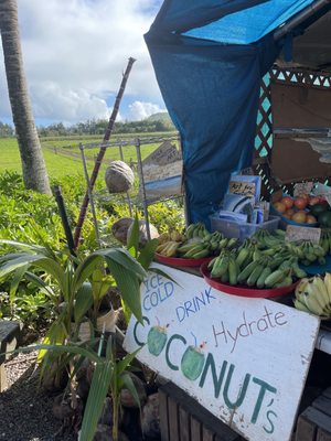 Kuilima Farm Stand by null