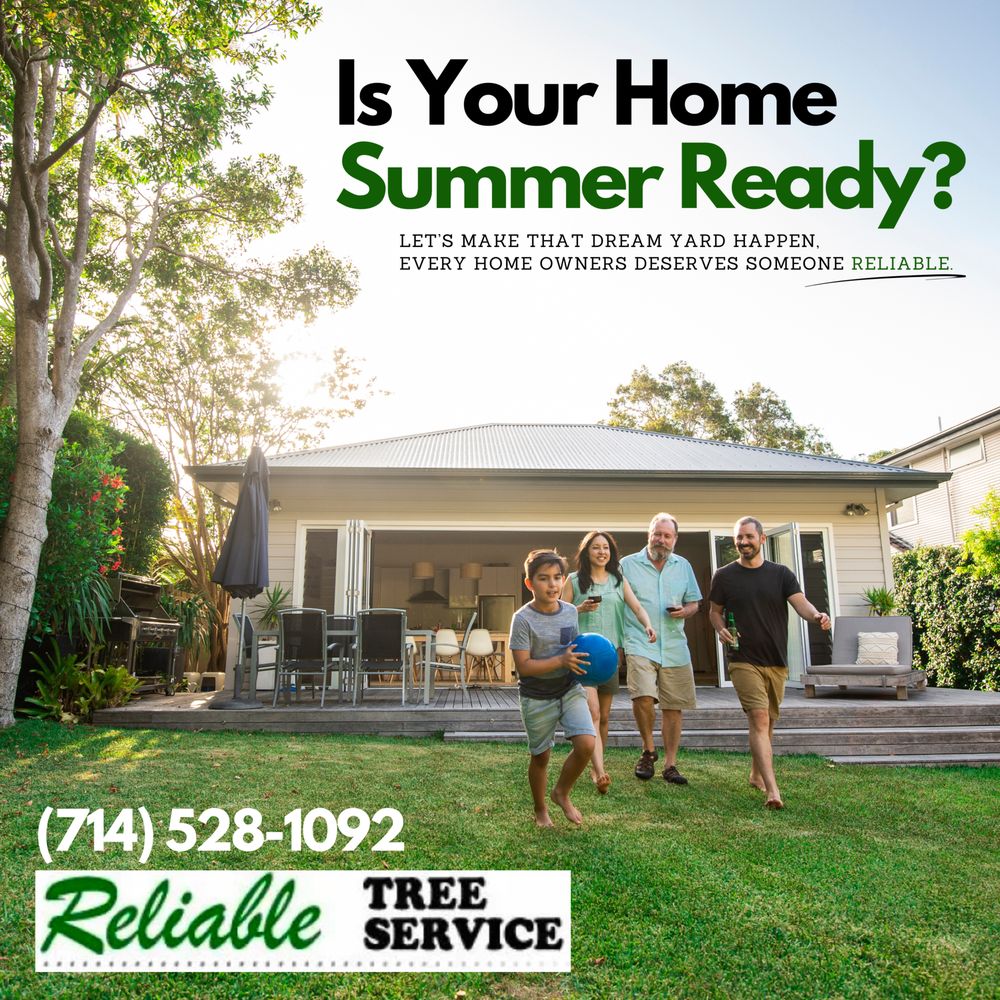 RELIABLE TREE SERVICE - Updated October 2025 - 38 Photos & 59 Reviews ...