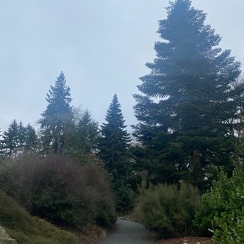 Washington Park Arboretum - Trails leading you in every which direction, sometimes it's hard to choose - Parks Near Me - Seattle, Washington Washington Park Arboretum - Trails leading you in every which direction, sometimes it's hard to choose - Parks Near Me - Seattle, Washington