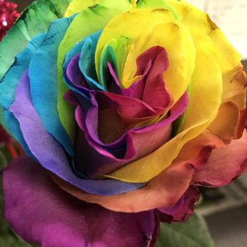 Willow Florist - Unique flowers. - Florists Near Me - Willow Springs, Illinois