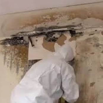 Moisture & Mold Detection - Home Inspectors Near Me - Irvine, California Moisture & Mold Detection - Home Inspectors Near Me - Irvine, California