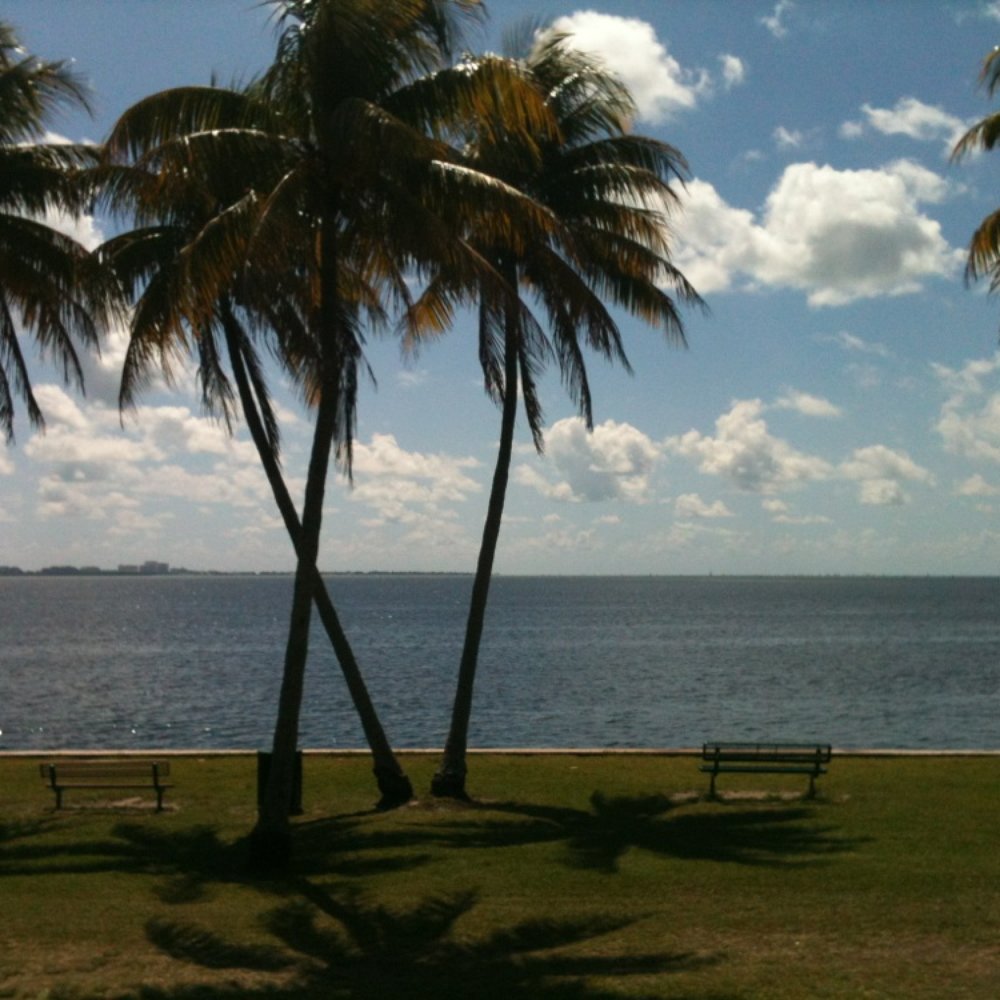 Alice C. Wainwright Park - HH - Parks Near Me - Miami, Florida