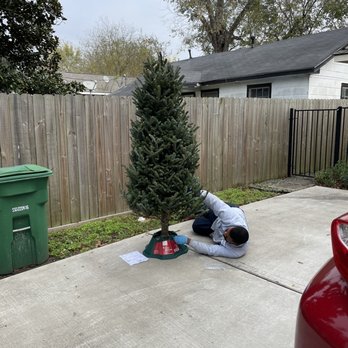 The Home Depot - Nice young man who offered to set our tree up. - Nurseries & Gardening Near Me - Houston, Texas
