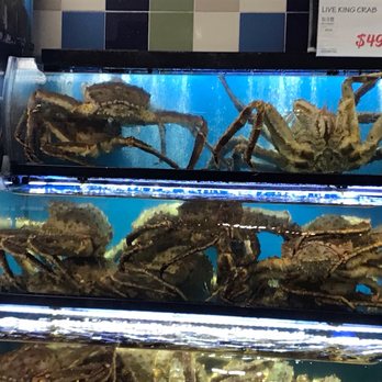 H Mart - Niles - Live king crsb - Grocery Near Me - Niles, Illinois