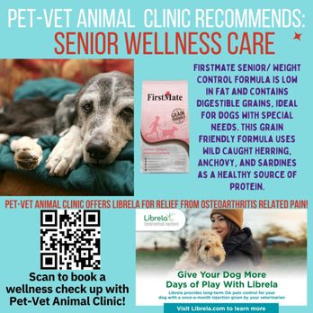 Pet-Vet Supply - Senior Wellness Care at Pet-Vet Animal Clinic - Pet Stores Near Me - Oklahoma City, Oklahoma Pet-Vet Supply - Senior Wellness Care at Pet-Vet Animal Clinic - Pet Stores Near Me - Oklahoma City, Oklahoma