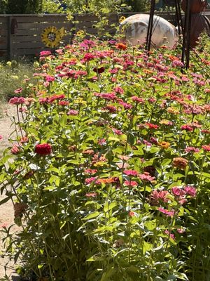 Three Fat Guys Winery by null