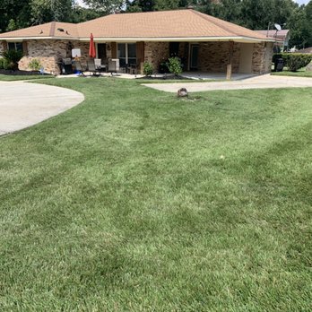Hernandez Lawnscape - a view of the front yard of a home - Landscaping Near Me - Baton Rouge, Louisiana Hernandez Lawnscape - a view of the front yard of a home - Landscaping Near Me - Baton Rouge, Louisiana