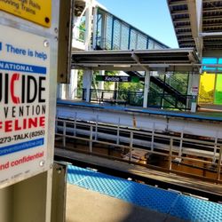 Kedzie - CTA Green Line Station