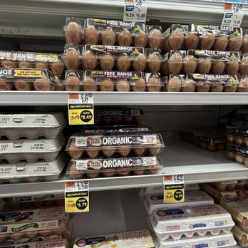 Stop & Shop - Some of the egg prices have gone down, but generally speaking they're still inflated - Grocery Near Me - Poughkeepsie, New York Stop & Shop - Some of the egg prices have gone down, but generally speaking they're still inflated - Grocery Near Me - Poughkeepsie, New York