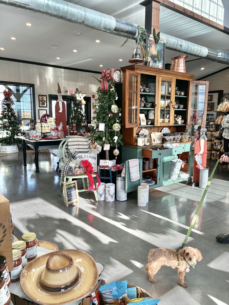 The Marketplace Image