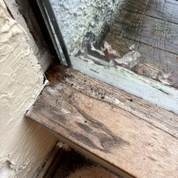 Grubby window casings. Bugs? Grubby window casings. Bugs?