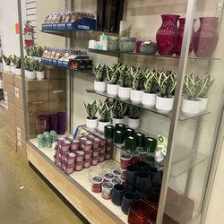 DRS Discount Sales - Srs