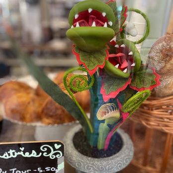 Café M - a display of a carnivorous plant in a pot - Cafes Near Me - Savannah, Georgia Café M - a display of a carnivorous plant in a pot - Cafes Near Me - Savannah, Georgia