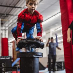 Ultimate Ninja Obstacle Gym