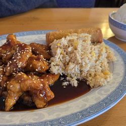 Delicious Garden - Sesame chicken with broccoli and Fried Rice.