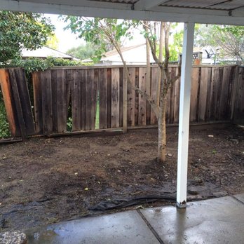 4 Seasons Green - The yard looked 10x worse than this. - Landscaping Near Me - San Jose, California 4 Seasons Green - The yard looked 10x worse than this. - Landscaping Near Me - San Jose, California