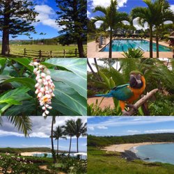 ABB Executive Rental - BEST CAR RENTAL ON LANA'I.