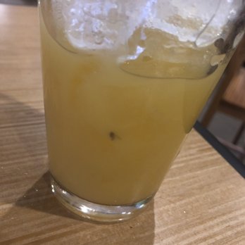 Buffalo Wild Wings - Big Ass Fly in My Drink! Drank half before I noticed... - American Near Me - Amarillo, Texas Buffalo Wild Wings - Big Ass Fly in My Drink! Drank half before I noticed... - American Near Me - Amarillo, Texas