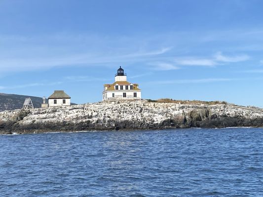 Lulu Lobster Boat Ride by null