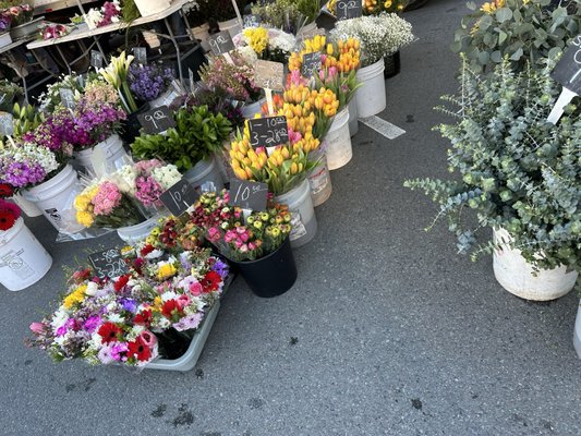 Ocean Beach Farmers Market by null