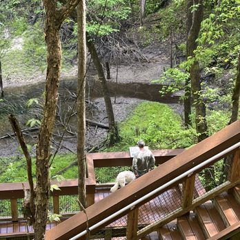 Devil's Millhopper State Geological Site - Lots of Stairs - Parks Near Me - Gainesville, Florida Devil's Millhopper State Geological Site - Lots of Stairs - Parks Near Me - Gainesville, Florida