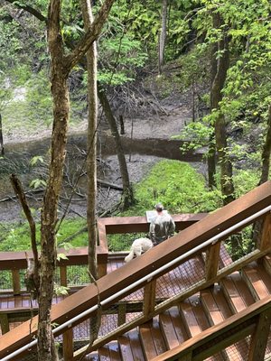 Devil's Millhopper Geological State Park by null