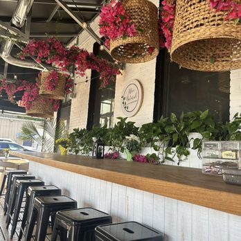 Aloe Natural - Coffee & Tea Near Me - Boston, Massachusetts
