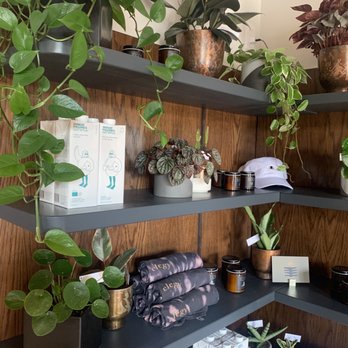 Elegy Coffee - Merch - Coffee & Tea Near Me - Nashville, Tennessee