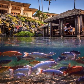 Tidepools - Beautiful scenery - Hawaiian Near Me - Poipu, Hawaii