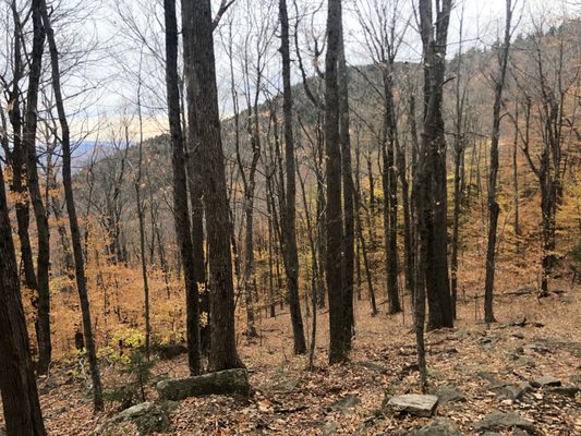 Mt Ascutney by null