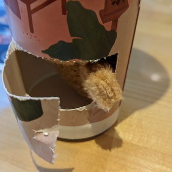 Ume Tea - Plushy ready to come out! :) - Coffee & Tea Near Me - Cupertino, California
