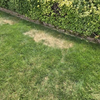 Lawn Doctor - Lawn Services Near Me