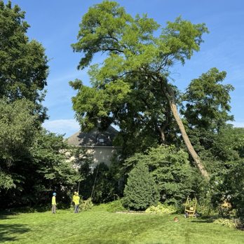 Dawsons Tree Service - Tree Services Near Me Dawsons Tree Service - Tree Services Near Me