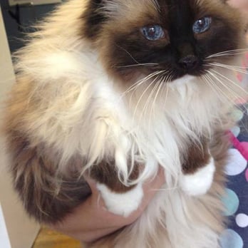 Broadway Pampered Pets - Pet Groomers Near Me - Boise, Idaho