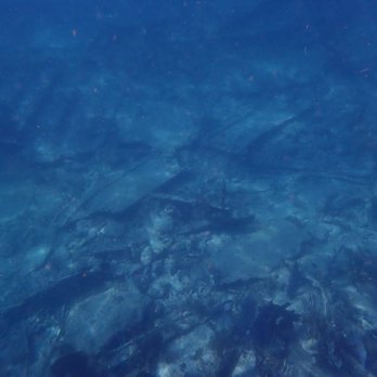 Bluewater Divers - Ship wreck - Boat Charters Near Me - Key Largo, Florida Bluewater Divers - Ship wreck - Boat Charters Near Me - Key Largo, Florida