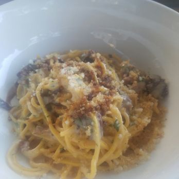 Prato - Mustard pasta- awesome! - Pizza Near Me - Winter Park, Florida