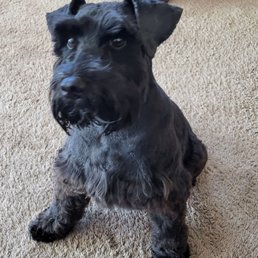 JAVA...his a very happy lil man now. JAVA...his a very happy lil man now.