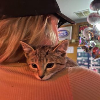 H & H Tavern - & some well behaved pets - Dive Bars Near Me - Issaquah, Washington H & H Tavern - & some well behaved pets - Dive Bars Near Me - Issaquah, Washington