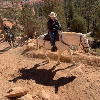 Canyon Trail Rides - Horseback Riding Near Me - Tropic, Utah Canyon Trail Rides - Horseback Riding Near Me - Tropic, Utah