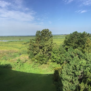 Hampton Inn Mobile-East Bay/Daphne - Morning view - Hotels Near Me - Daphne, Alabama Hampton Inn Mobile-East Bay/Daphne - Morning view - Hotels Near Me - Daphne, Alabama