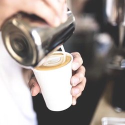 Red Owl Coffee Company - Latté