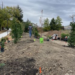 DIG Landscape Design - Large scale screening and berm planting in progress. Designed, Installed and to be grown by DIG, install in progress fall 2024