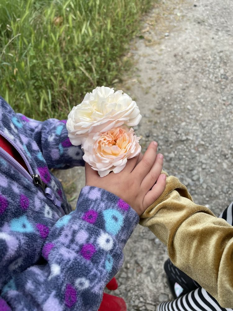 Little Shop of Learning - childcare center in Santa Rosa, CA