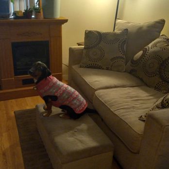Bark Place - You'll have an easier time separating Linus (Peanuts) from his blanket than getting my dog to part with this pink sweater from Bark Place. - Pet Groomers Near Me - Chicago, Illinois