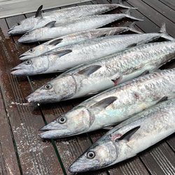 Reel Lucky Fishing Charters