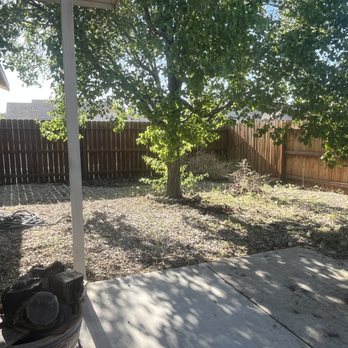 Keep It Green and Clean Yard Clean Up and Services - Tree Services Near Me Keep It Green and Clean Yard Clean Up and Services - Tree Services Near Me