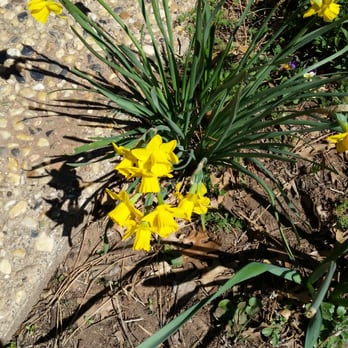 Lubbock Memorial Arboretum Foundation - Community Service/Non-Profit Near Me - Lubbock, Texas Lubbock Memorial Arboretum Foundation - Community Service/Non-Profit Near Me - Lubbock, Texas